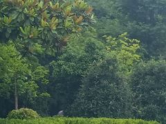 -黄河小浪底水利枢纽风景区