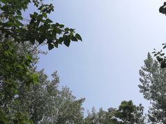 -商丘站