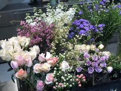 -植物学家的女儿(北马道巷店)