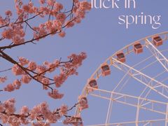 -顾村公园