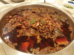 麻辣大鱼头锅-冯鱼头火锅(青蓝山美食一条街店)