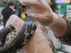 -万达广场(北京槐房店)