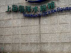 -上海海洋水族馆