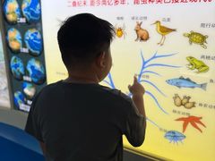 -上海昆虫博物馆