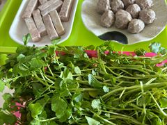 -15年老字号鑫鑫猪肚鸡·椰子鸡海南火锅(兴隆华侨农场店)