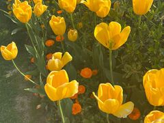 -无锡市市民中心