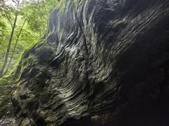 -牛背梁国家森林公园