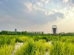 -永定河休闲森林公园