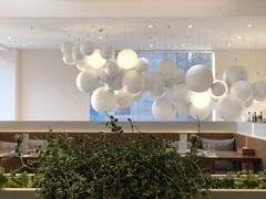 -青梅酒肆PLUS(长白仙岛北路店)