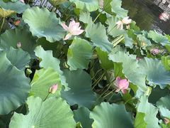 -烟雨人家(塔湾街店)