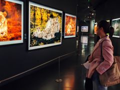 -罗红摄影艺术馆