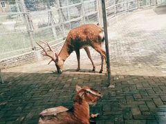 -武汉紫薇都市田园