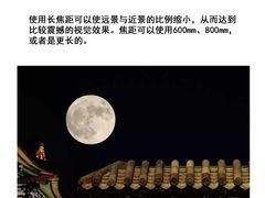 -CGWANG王氏教育(上海校区)