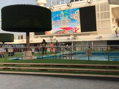 -吴淞口国际邮轮码头-停车场