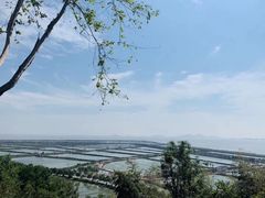 -蛇蟠岛