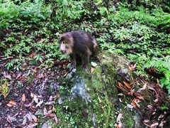 -西岭雪山大飞水景区
