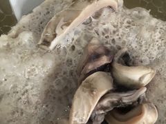 墨鱼汤-马打滚