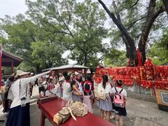 -大槐树寻根祭祖园