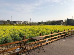 -田园东方蜜桃村的田野营地