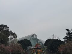 -南山植物园
