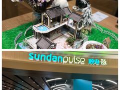 -sundanpulse顺电·脉(海岸城购物中心店)