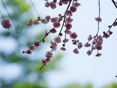 -成都杜甫草堂博物馆