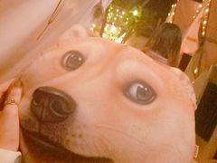 -ZooYoo佐佑咖啡(鼓楼店)
