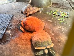 -祥源·阜阳生态乐园