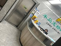 -半岛宠物医院24小时(白果林店)