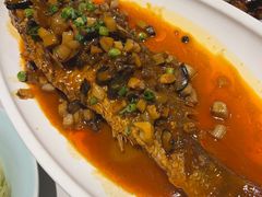 -新侨小馆(东直门北小街店)