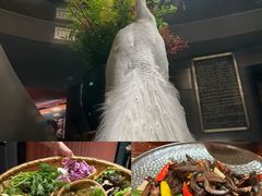 -滇野云南野生菌餐厅(陕西南路店)