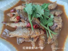 -长寿村