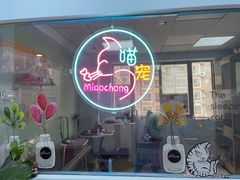 -喵宠乐园·撸猫互动·猫舍