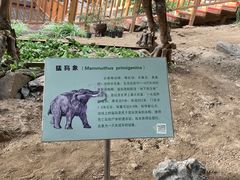 -中国第四纪冰川遗迹陈列馆