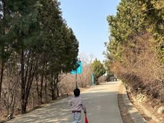 -府君山公园