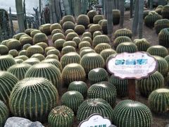 -南山植物园