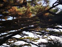 -罗田薄刀峰风景区