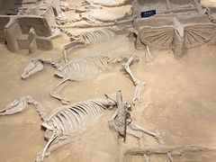 -洛阳周王城天子驾六博物馆