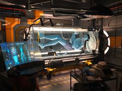 -奥兰多迪士尼动物王国乐园