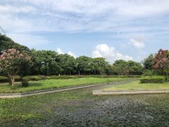 -蠡湖大桥公园