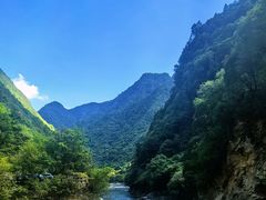 -黑河国家森林公园