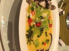 -洋洋中餐馆·SINCE 1997(龙湖星湖天街店)
