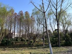 -自然谷恐龙园