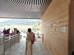 -千年银杏谷文化旅游区