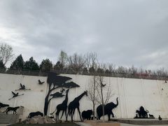 -太原动物园
