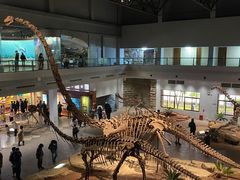 -自贡恐龙博物馆