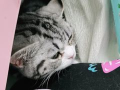 -宠福鑫康馨动物医院·骨科·眼科