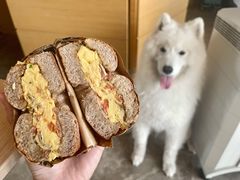 -Catch Bagel(芳草地店)