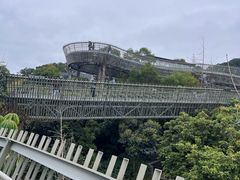 -福道