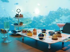 -涛·海底餐厅·美人鱼·自助餐·海底隧道(三亚海棠湾洲际度假酒店)